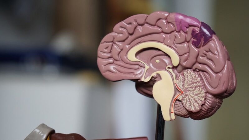 Therapeut en patient in gesprek over cognitieve gedragstherapie voor insomnie